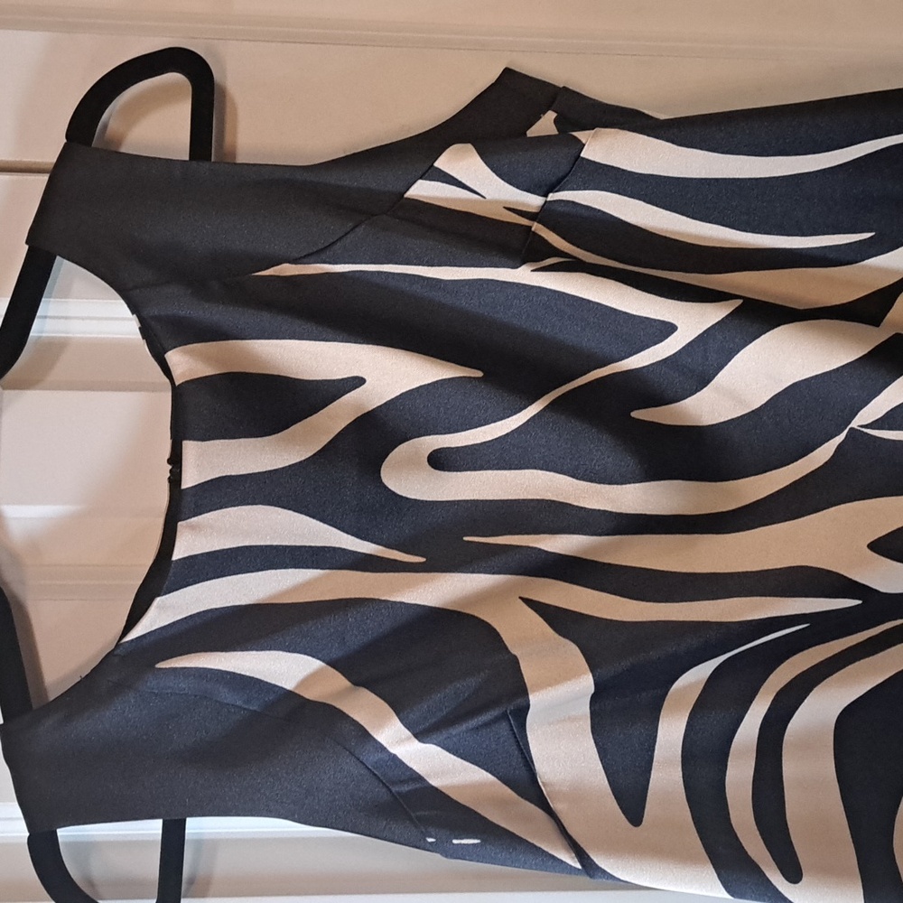 ALYX LIMITED Black and Cream Zebra Dress - Picture 4 of 4